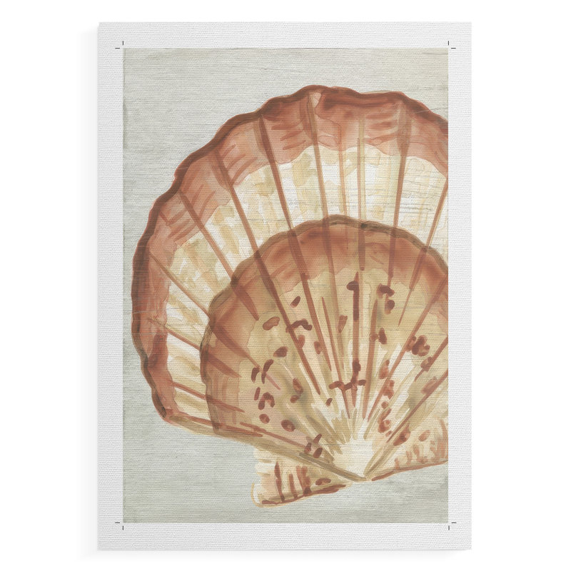 «Vintage Shell Vignette II», impression sur toile seulement - non encadrée