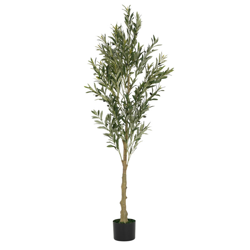 6' Artificial Olive Tree With Pot, 71'' H x 30'' W x 30'' D