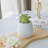 Brixen Polyresin Table Vase-1344954060
