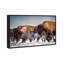 Buffalo Herd In A Snow Landscape Print-69341654-69341653