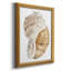 Seashell I - Peinture sur toile encadrée-244863808