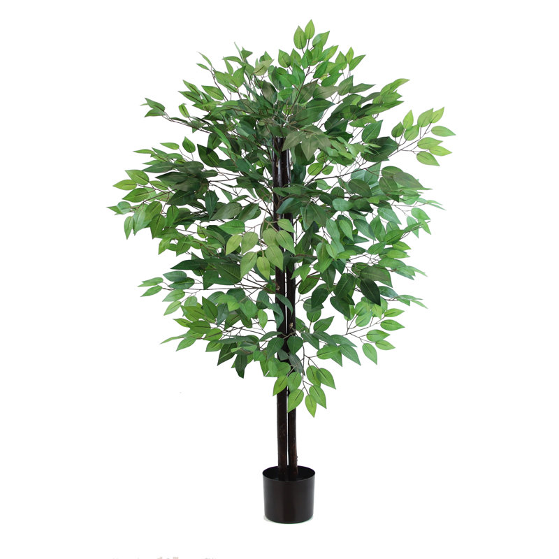 Faux Ficus Tree in Pot Liner, Forest Green, 76" H x 34" W x 34" D