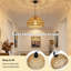 12.5cm H Composite Display Light Cowl