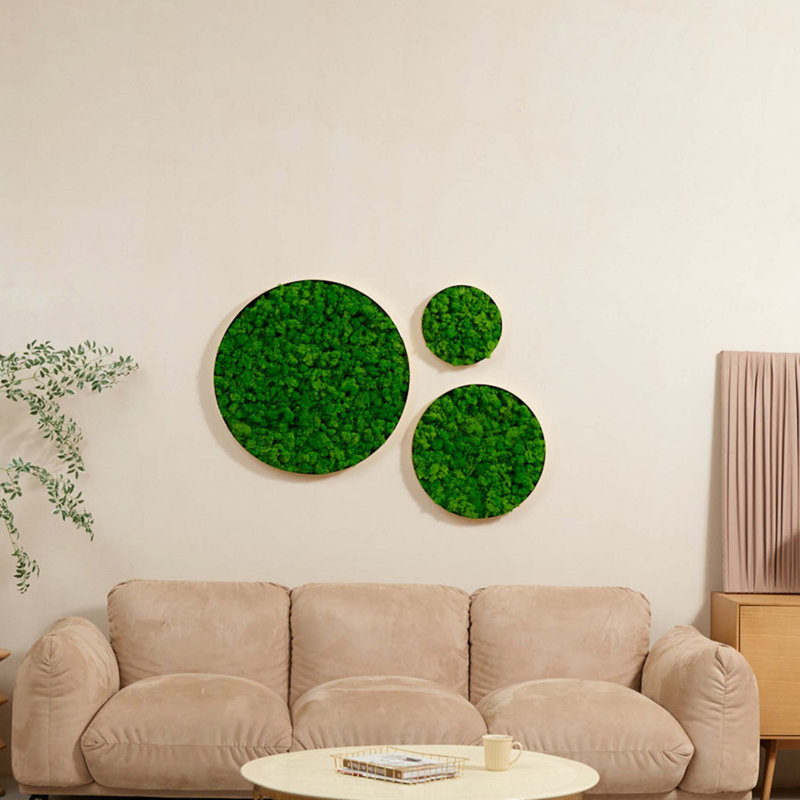 Round Framed Moss Wall Decor, Only The Large Pc, 24'' H X 24'' W X 2'' D