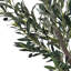 155cm Faux Olive Tree Tree in Freestanding