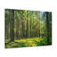 No Frame Print on Canvas-1752974638