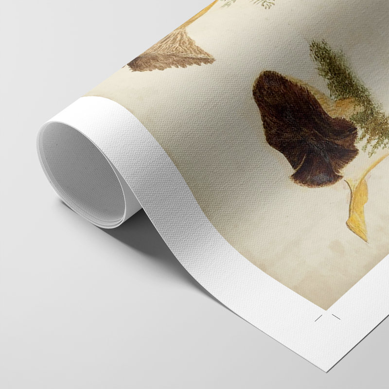 Champignon V - reproduction de toile seulement - non encadrée, H 27 po x l 18 po