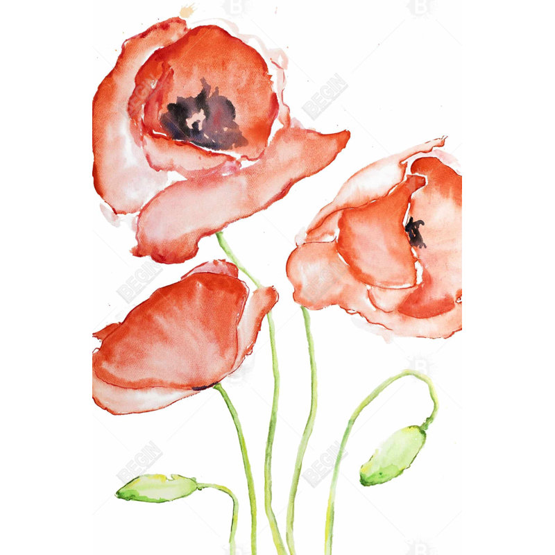 Watercolor poppies Bath Mat with Non-Slip Backing - Quick Dry Memory Foam Bathroom Rug - Absorbent - Modern Plush Spa-Style - Machine Washable