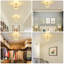 Ahsia Flush Mount