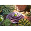 Amalfi Berry Bowl - Pink - 4.5"-317880118