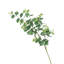 Ensemble de 3 branches d'eucalyptus artificiel-1972534112