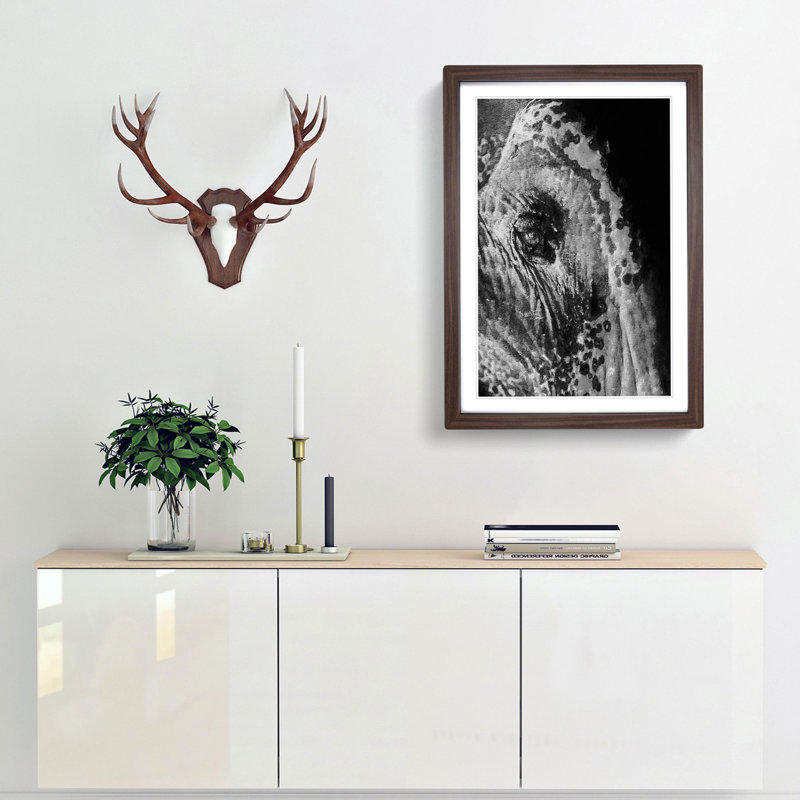 Watchful Elephant - Framed Print, Walnut Framed, 36cm H x 27cm W x 2cm D