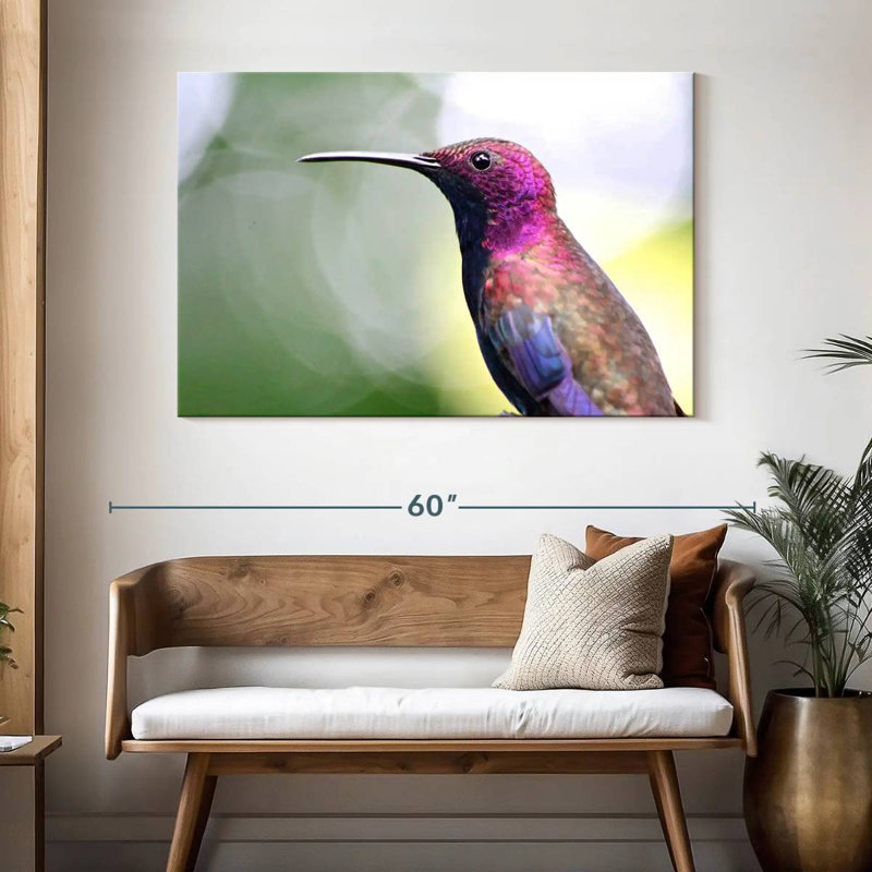 Colibri jamaïcain à la mangue, H 32 po x l 48 po