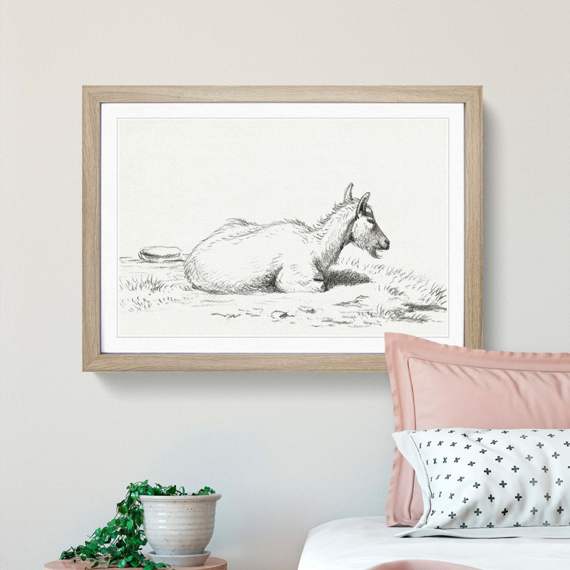 Lying Goat by Jean Bernard - Framed Print, 36cm H x 48cm W x 2cm D, Oak Framed