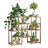 Plant Stand Indoor
