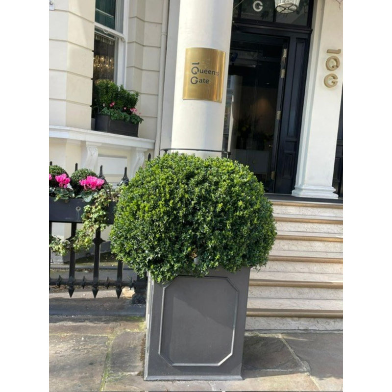 Berenice Handmade Pot Planter, 52 cm H x 46 cm W x 46 cm D, Faux Lead