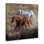 «Brown and White Wild Horses», art mural sur toile par Nina Blue
