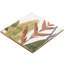 Angela Harris Dunmore Sonata Decor 8X8 Polished Ceramic Wall Tile