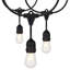 Kendron Indoor / Outdoor 12 - Bulb 288 in. Plug-in LED Standard String Light