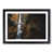Black Framed