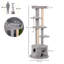 150cm H Cat Tree