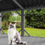 Spacieux pour le plaisir à l'intérieur - offre un espace de détente pour les chats. Une grande plateforme de fenêtre pour chat permet de se prélasser confortablement au soleil