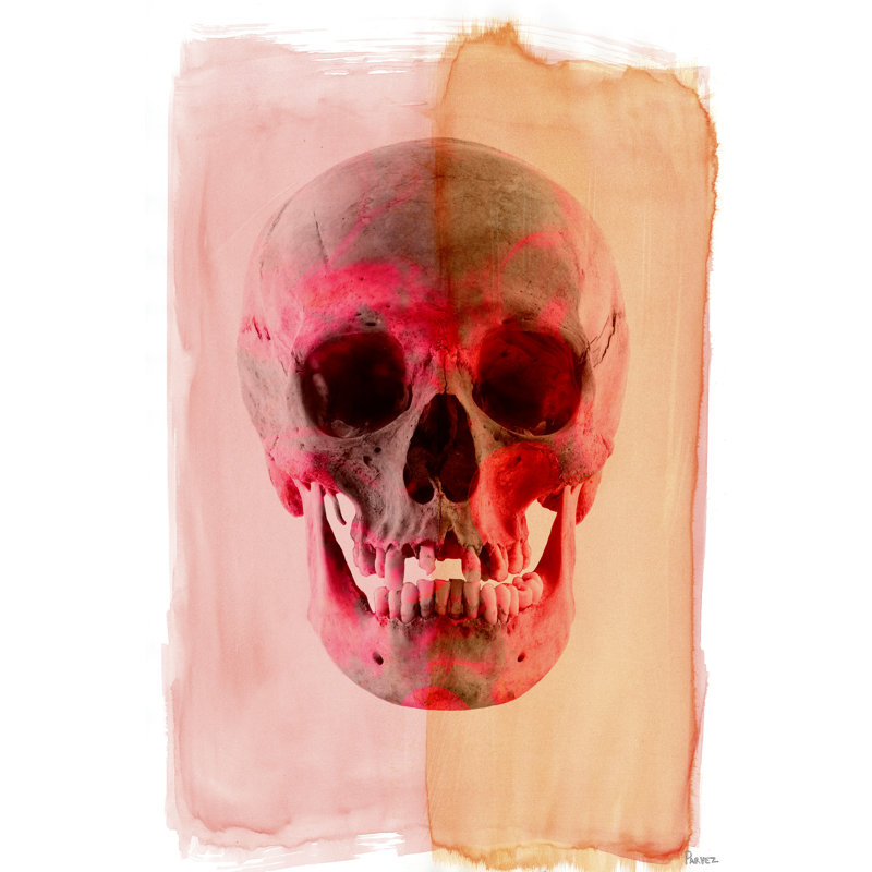 Parvez Taj - Wrapped Canvas Print, 114cm H x 76cm W x 5cm D