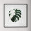 Variegated Monstera II by Grace Popp-2104103204-2104103205