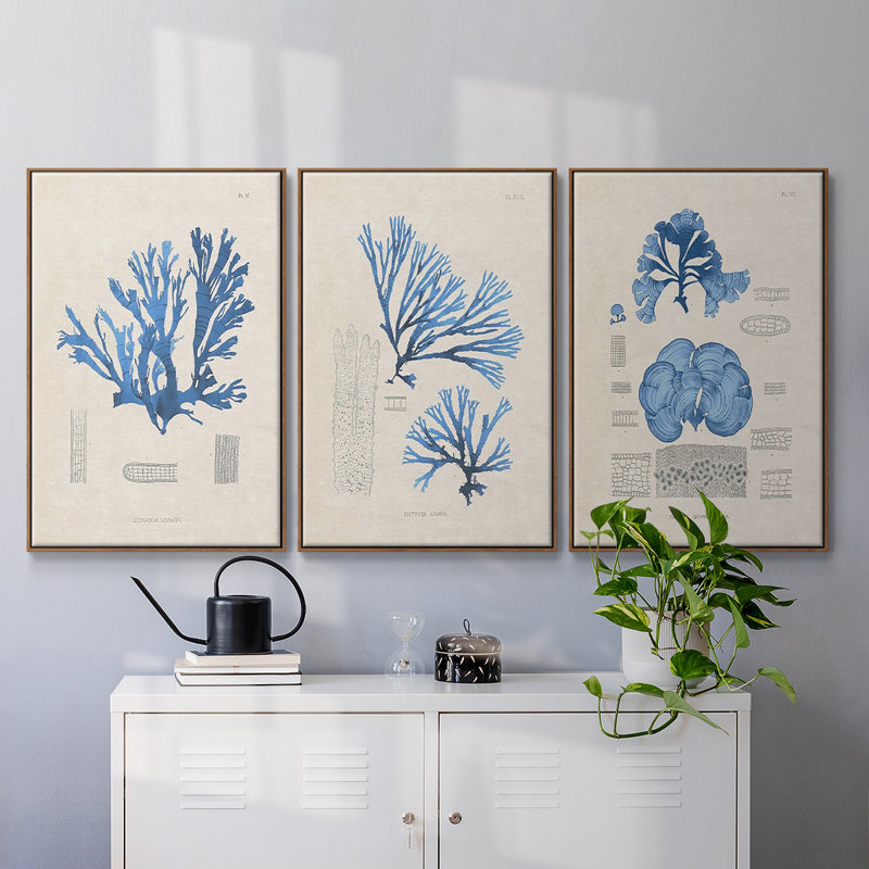 Blue Marine Algae IV - Ensemble de 3 reproductions encadrées sur toile, Noyer, H 24 po x l 48 po x P 2 po