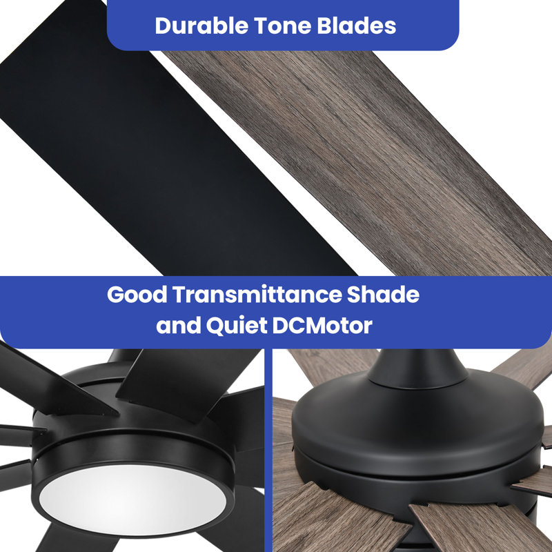 60 inch Black Modern Ceiling Fan including Light and Remote with 8 Blades, and 3 Color Temperatures