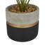 18 po x 15 po Plante artificielle contemporaine en plastique avec bloc de couleur vert contemporain Monstera