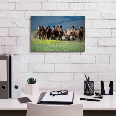«Montana Thunder» par Lisa Dearing, estampe numérique sur toile