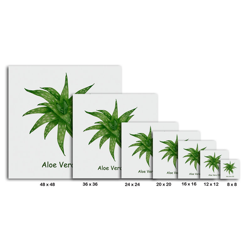 " Aloe Vera III ", 8" H x 8" W x 1.5" D