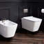 Modulus Dual-Flush Elongated Wall-Mount Toilet (Seat Included)