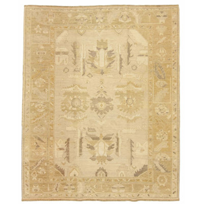 Navereh Wool Oriental Indoor Rug