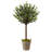 54 " H Faux Olive Tree