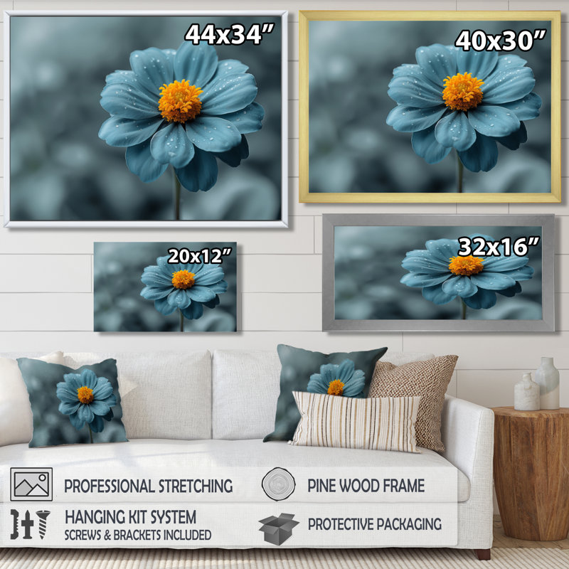 «Blue Grey Natures Marigold Photo», art mural souci, Cadre doré flottant, bois massif, H 30 po x l 40 po