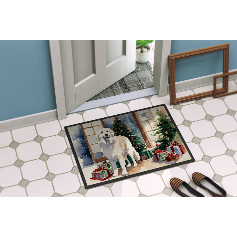 Tapis d'entrée antidérapant Jermeisha, L 24 po x L 36 po