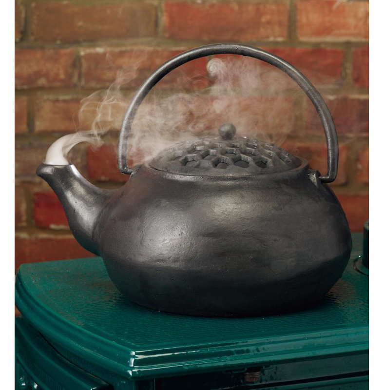 Bouilloire à vapeur