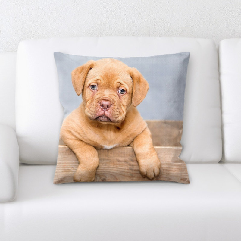 Coussin décoratif dogue de bordeaux
