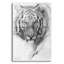 "Portrait d'un tigre" par Robert Campbell-623781934