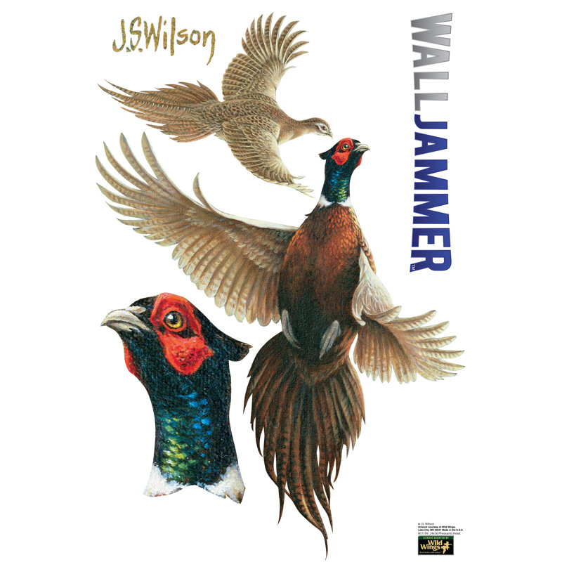 Colorful Pheasant Head Vinyl Wall Decal 24 x 36