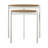Monestime 2 Piece Nest of Tables-200126302
