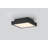 Patrol Q Ceiling Mount, 15W, Black Finish