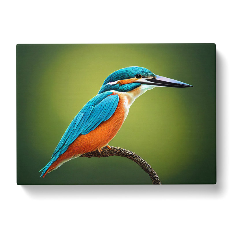 Dynamic Kingfisher Bird - Wrapped Canvas Print, 40cm H x 60cm W x 3cm D