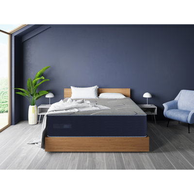 Matelas ferme et ferme - Restez au frais et dormez bien. Technologie à double refroidissement avec mousse gélifiée. Gen Ii For A Comfortable Night. Les bobines emballées individuellement sont moins dérangeantes. Poids de 84,92 lb en bleu marine. Glacière