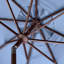 Parasol de marché 8,4 pi Pedrick-1947886422