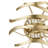 Calligraphy 2 Light Wall Sconce