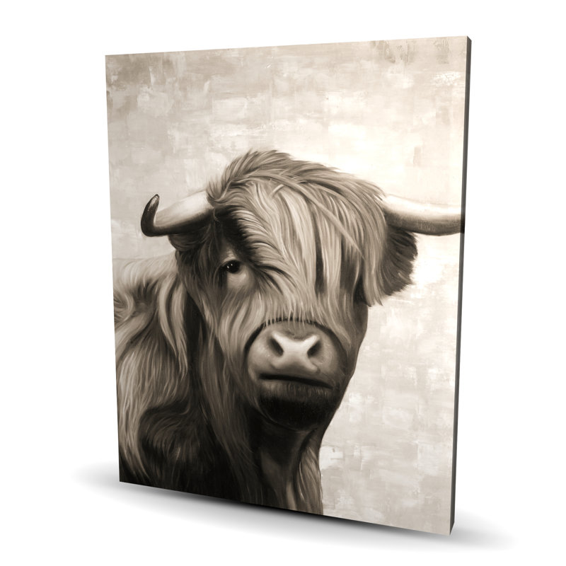 Toile de bœuf Highland