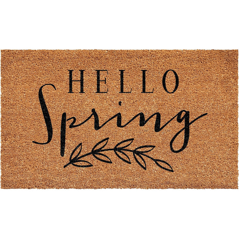 Paillasson 24 po x 36 po brun et noir Hello Spring